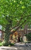 Туры в отель Hotel De Plataan Delft Centrum Туры в отель Hotel De Plataan Delft Centrum