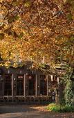 Туры в отель Hotel De Plataan Delft Centrum Туры в отель Hotel De Plataan Delft Centrum