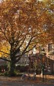 Туры в отель Hotel De Plataan Delft Centrum Туры в отель Hotel De Plataan Delft Centrum