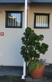 Туры в отель Wrights By The Sea Motel Туры в отель Wrights By The Sea Motel