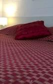 Туры в отель Kapiti Gateway Motel Туры в отель Kapiti Gateway Motel