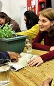 Туры в отель Trek Global Backpackers Туры в отель Trek Global Backpackers