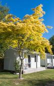 Туры в отель Tasman Holiday Parks - Picton Туры в отель Tasman Holiday Parks - Picton
