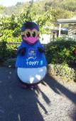Туры в отель Tasman Holiday Parks - Picton Туры в отель Tasman Holiday Parks - Picton