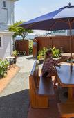 Туры в отель Moana Lodge - Guest House Туры в отель Moana Lodge - Guest House