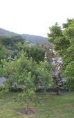 Туры в отель Top of the Town Туры в отель Top of the Town