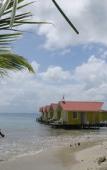 Туры в отель El Faro del Colibri Туры в отель El Faro del Colibri