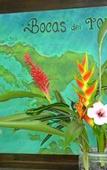Туры в отель Palmar Beach Lodge Туры в отель Palmar Beach Lodge