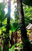Туры в отель Palmar Beach Lodge Туры в отель Palmar Beach Lodge