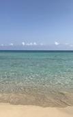 Туры в отель Palmar Beach Lodge Туры в отель Palmar Beach Lodge