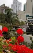Туры в отель Casa Bella Boutique Hotel San Isidro Туры в отель Casa Bella Boutique Hotel San Isidro