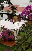 Туры в отель Casa Bella Boutique Hotel San Isidro Туры в отель Casa Bella Boutique Hotel San Isidro