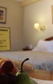 Туры в отель Hotel Manhattan Inn Airport Туры в отель Hotel Manhattan Inn Airport