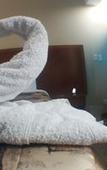 Туры в отель Hotel Esencia Suites Туры в отель Hotel Esencia Suites