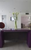 Туры в отель Palmetto Hotel Business San Miguel Туры в отель Palmetto Hotel Business San Miguel