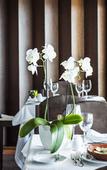 Туры в отель Sao Felix Hotel Hillside and Nature Туры в отель Sao Felix Hotel Hillside and Nature