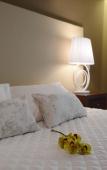 Туры в отель Sao Felix Hotel Hillside and Nature Туры в отель Sao Felix Hotel Hillside and Nature