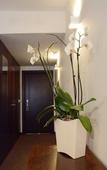 Туры в отель Sao Felix Hotel Hillside and Nature Туры в отель Sao Felix Hotel Hillside and Nature