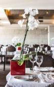 Туры в отель Sao Felix Hotel Hillside and Nature Туры в отель Sao Felix Hotel Hillside and Nature