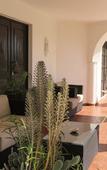 Туры в отель Hotel Alcaide Туры в отель Hotel Alcaide