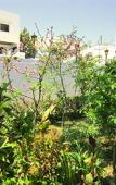 Туры в отель Hotel Alcaide Туры в отель Hotel Alcaide
