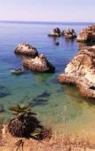 Туры в отель Hotel Alcaide Туры в отель Hotel Alcaide