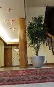 Туры в отель Hotel Dona Sofia Туры в отель Hotel Dona Sofia