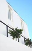 Туры в отель The Late Birds Lisbon - Gay Urban Resort Туры в отель The Late Birds Lisbon - Gay Urban Resort