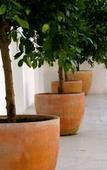 Туры в отель The Late Birds Lisbon - Gay Urban Resort Туры в отель The Late Birds Lisbon - Gay Urban Resort