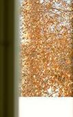 Туры в отель The Late Birds Lisbon - Gay Urban Resort Туры в отель The Late Birds Lisbon - Gay Urban Resort