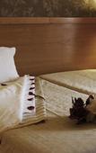 Туры в отель Hotel Castrum Villae Туры в отель Hotel Castrum Villae