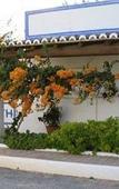 Туры в отель Quinta do Caracol Туры в отель Quinta do Caracol