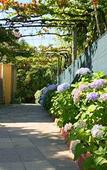 Туры в отель Corredoura Garden Alojamento Туры в отель Corredoura Garden Alojamento