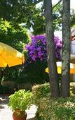 Туры в отель Corredoura Garden Alojamento Туры в отель Corredoura Garden Alojamento
