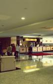 Туры в отель Palace Hotel & Spa Termas de Sao Vicente Туры в отель Palace Hotel & Spa Termas de Sao Vicente