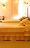 Туры в отель Casa de Campo Sao Rafael Туры в отель Casa de Campo Sao Rafael