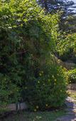 Туры в отель Quinta Das Murtas B&B Туры в отель Quinta Das Murtas B&B