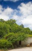 Туры в отель Quinta Das Murtas B&B Туры в отель Quinta Das Murtas B&B