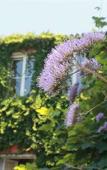 Туры в отель Quinta Das Murtas B&B Туры в отель Quinta Das Murtas B&B
