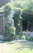 Туры в отель Quinta Das Murtas B&B Туры в отель Quinta Das Murtas B&B