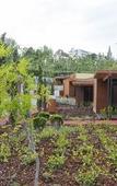Туры в отель Vale de Sao Torcato Houses and Wine Bar Туры в отель Vale de Sao Torcato Houses and Wine Bar