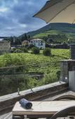 Туры в отель Vila Gale Collection Douro Hotel Туры в отель Vila Gale Collection Douro Hotel