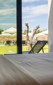 Туры в отель Borralha Hotel, Restaurante & Spa Туры в отель Borralha Hotel, Restaurante & Spa