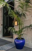 Туры в отель Torel 1884 Suites & Apartments Туры в отель Torel 1884 Suites & Apartments