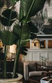 Туры в отель Torel 1884 Suites & Apartments Туры в отель Torel 1884 Suites & Apartments
