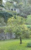 Туры в отель Casa Holstein Quinta de Sao Sebastiao Туры в отель Casa Holstein Quinta de Sao Sebastiao