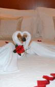 Туры в отель Recomecar Guest House Туры в отель Recomecar Guest House