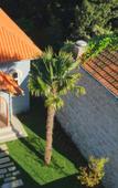 Туры в отель Oporto Maison Palace Туры в отель Oporto Maison Palace