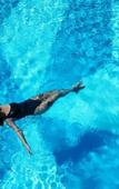 Туры в отель Four Points by Sheraton Sesimbra Туры в отель Four Points by Sheraton Sesimbra