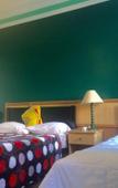 Туры в отель Alojamento Local Private Accommodation Туры в отель Alojamento Local Private Accommodation